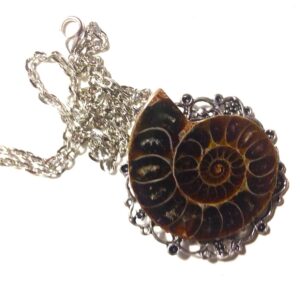 Ammonite Necklace // Ammonite Pendant