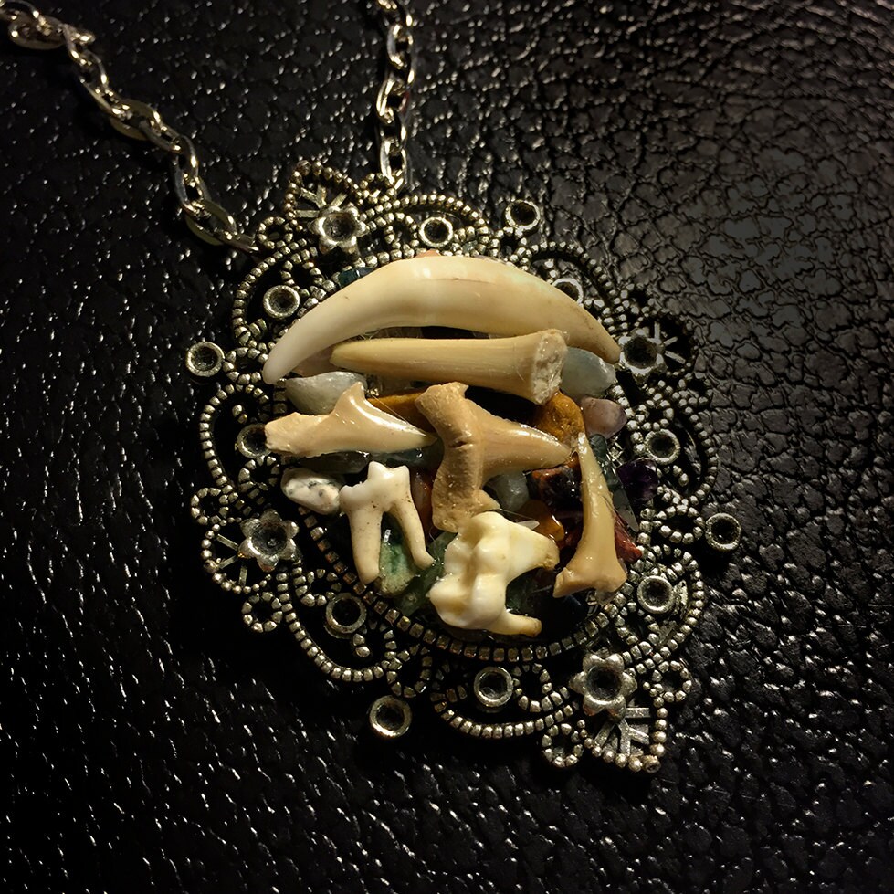 Fox Canine Shark & Coyote Teeth and Crystal Necklace
