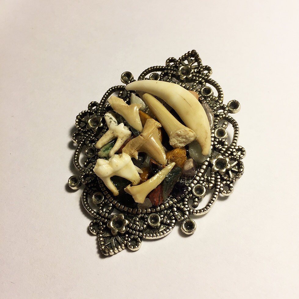 Fox Canine Shark & Coyote Teeth and Crystal Necklace - Image 4