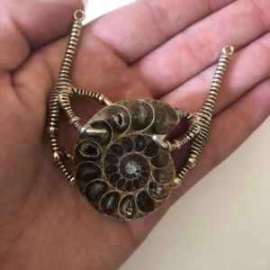 Ammomite claw necklace