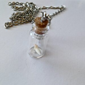 Animal tooth necklace