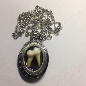 Real Tooth Locket Necklace
