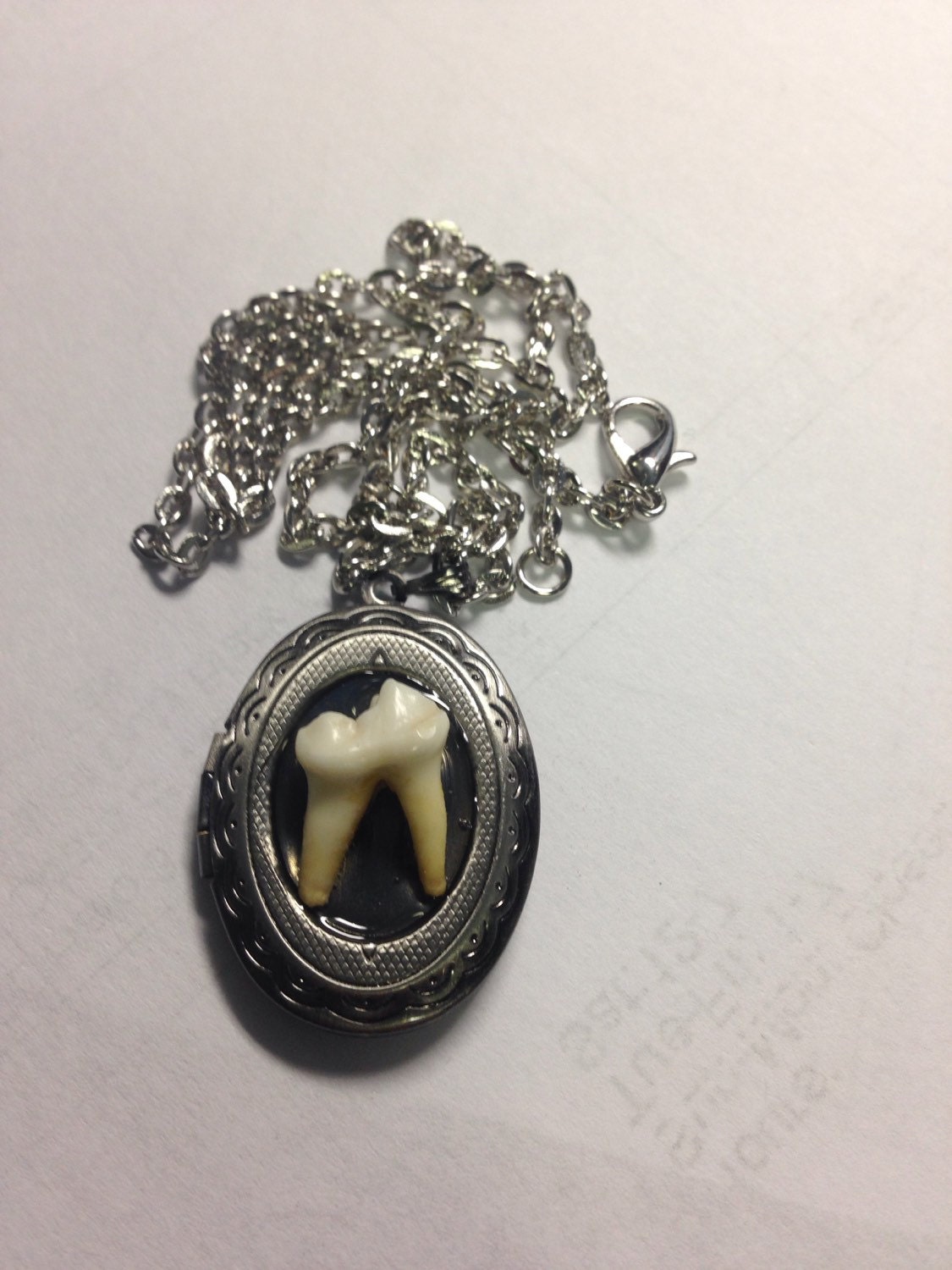 Real Tooth Locket Necklace