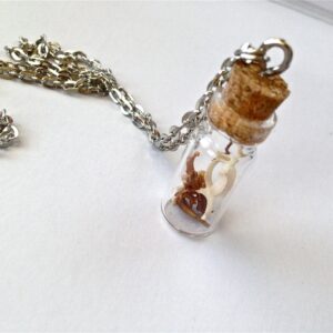 Glass jar bottle of bones necklace